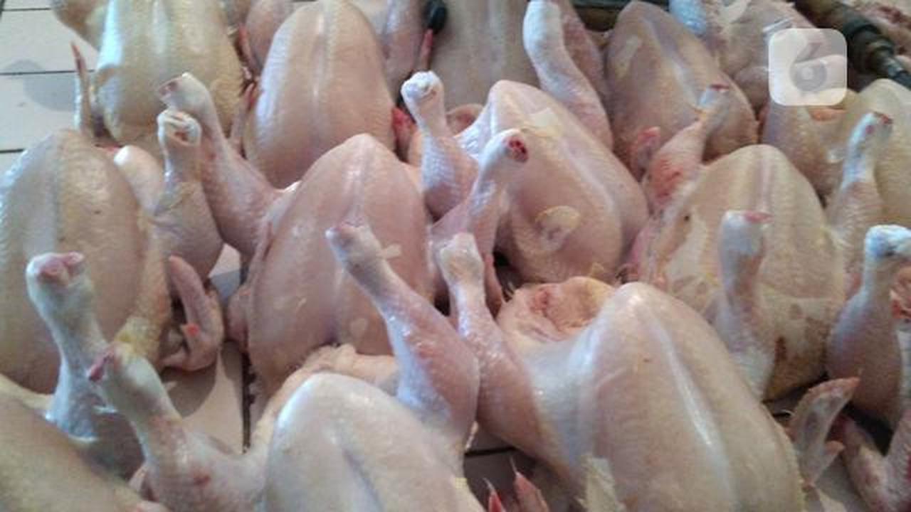Harga Daging Ayam dan Telur Melonjak di Atas HET, Mendag Ungkap Fakta di Pasar