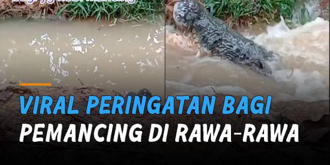 VIDEO: Viral Peringatan Bagi Pemancing di Rawa-Rawa, Ada Bahaya Mengintai
