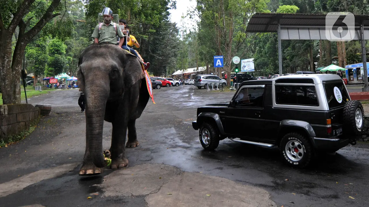 Taman Safari Indonesia Ramai Dikunjungi Wisatawan