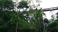Reaktivasi Rel Kereta di Jawa Barat Terbatas Anggaran, Kapan Rampung?