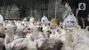 Pekerja memilah ayam yang dipesan konsumen di tempat pemotongan ayam, Jakarta, Jumat (3/12/2021). Jelang Natal dan Tahun Baru harga beberapa kebutuhan pokok khususnya daging sapi dan ayam masih stabil, kecuali minyak goreng curah yang mengalami kenaikan. (Liputan6.com/Johan Tallo)