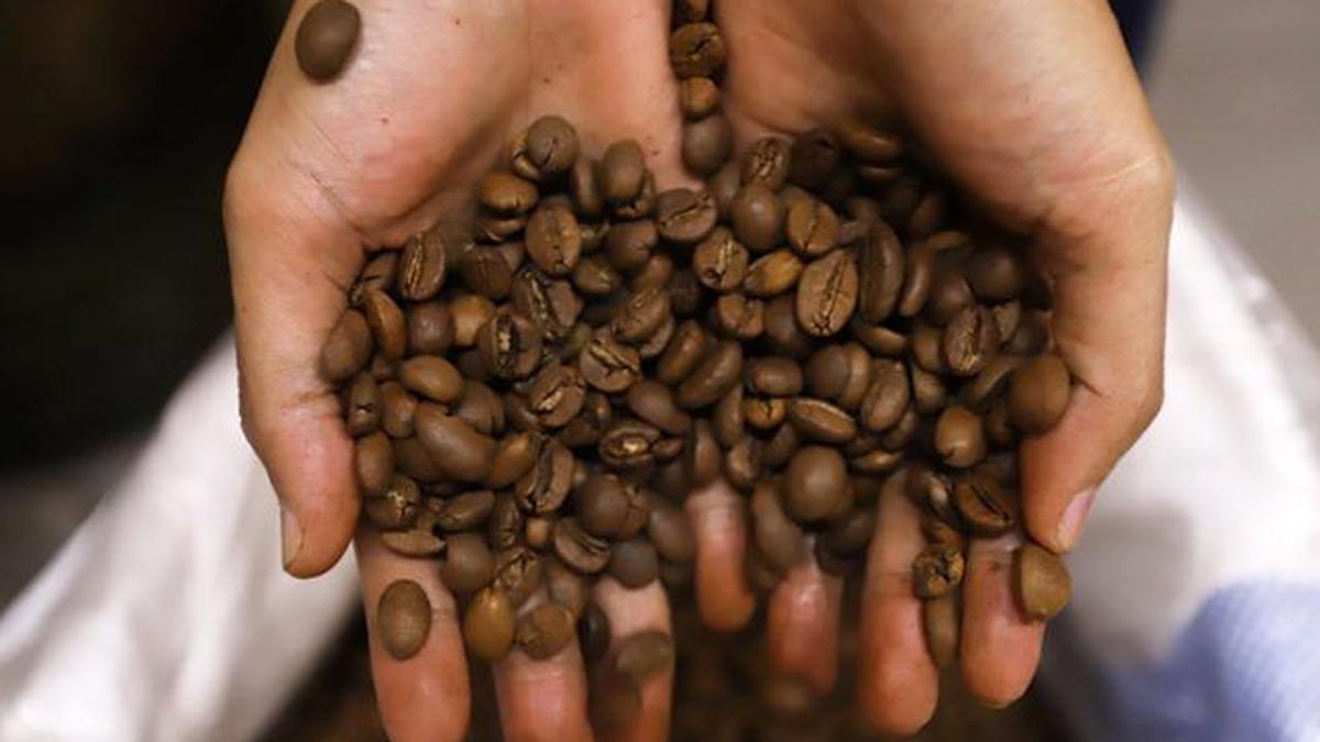 Mengupas Fakta, Apakah Kopi Penyebab Asam Urat atau Sekadar Mitos?