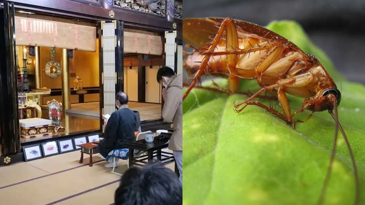 Berita Pabrik Pestisida Hari Ini Kabar Terbaru Terkini Liputan6