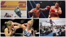 Banyak sejarah terukir pada tahun 2015 mulai dari gelar juara dunia kelas welter WBO yang diraih oleh Floyd Mayweather hingga keberhasilan Lewis Hamilton menjadi yang tercepat di pelintasan balap F1. 