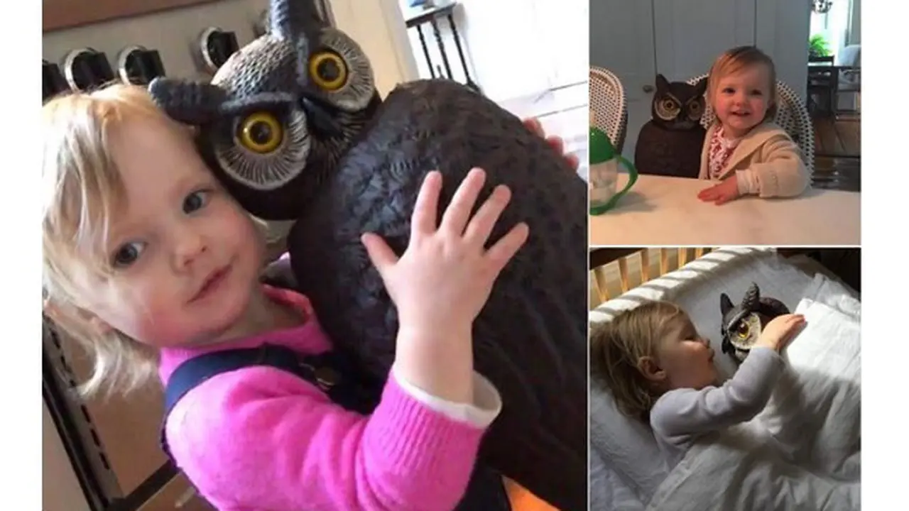 Persahabatan Unik Antara Gadis Kecil Ini dan Patung Burung Hantu