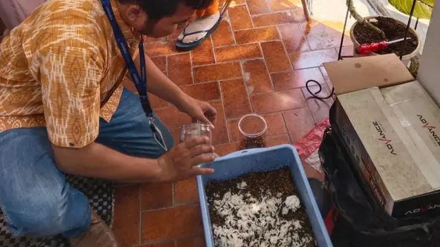 Universitas Indraprasta (Unindra) memberikan edukasi kepada masyarakat di Jakarta tentang pentingnya membudidayakan maggot.
