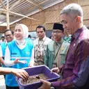 Budi Daya Maggot di Mataram, Solusi Masalah Sampah Jadi Bernilai