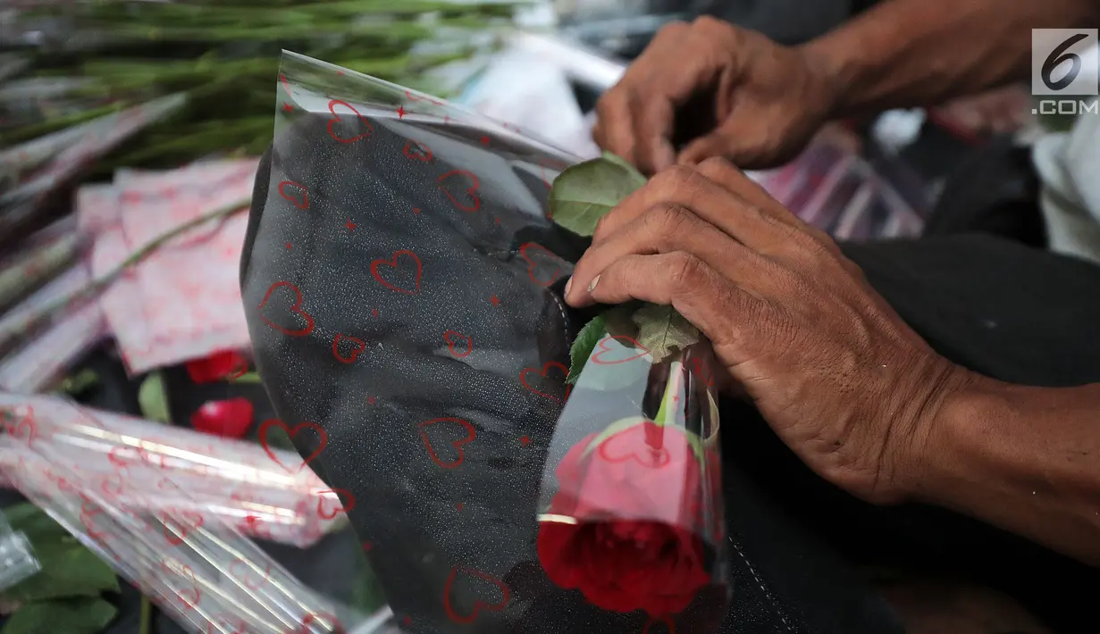 Pedagang menata bunga mawar di kawasan Rawa Belong, Jakarta Barat, Rabu (13/2). Jelang hari valentine,pedagang di pusat bunga Rawa Belong melakukan penataan bunga mawar untuk dijual kepada masyarakat yang merayakan. (Liputan6.com/Johan Tallo)