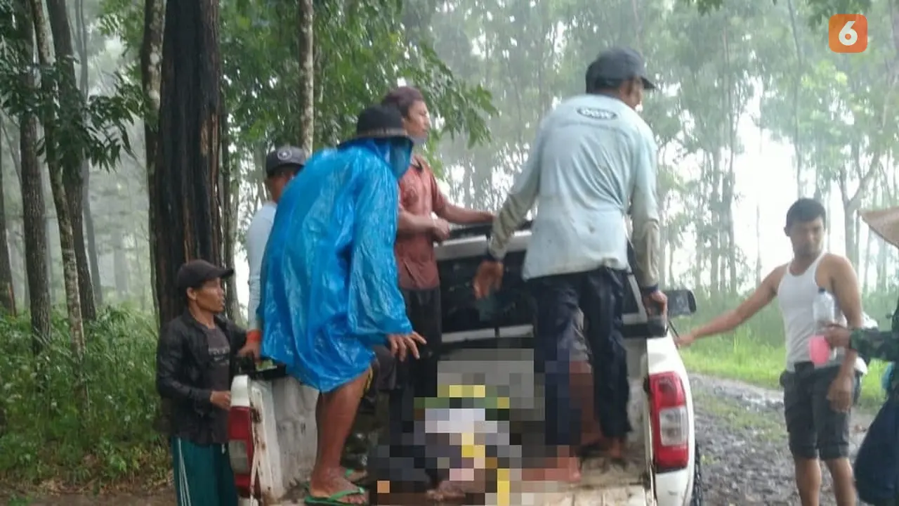 Asrik korban tertimpa pohon di Desa Jambewangi Banyuwangi dievakuasi ke puskesmas setempat. Hermawan Arifianto/Liputan6.com)