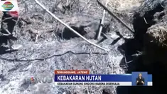 Dua dari lima titik api di lereng Gunung Sumbing telah padam berkat water bombing.