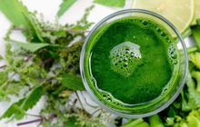 Resep Jus Detoks Tubuh untuk Program Diet Awal Tahun 2026