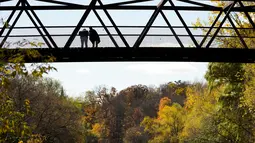 Orang-orang memandangi Sungai Kredit di sebuah jembatan, di antara warna-warni musim gugur di Mississauga, Ontario, pada Kamis, 27 Oktober 2022. (Nathan Denette/The Canadian Press via AP)