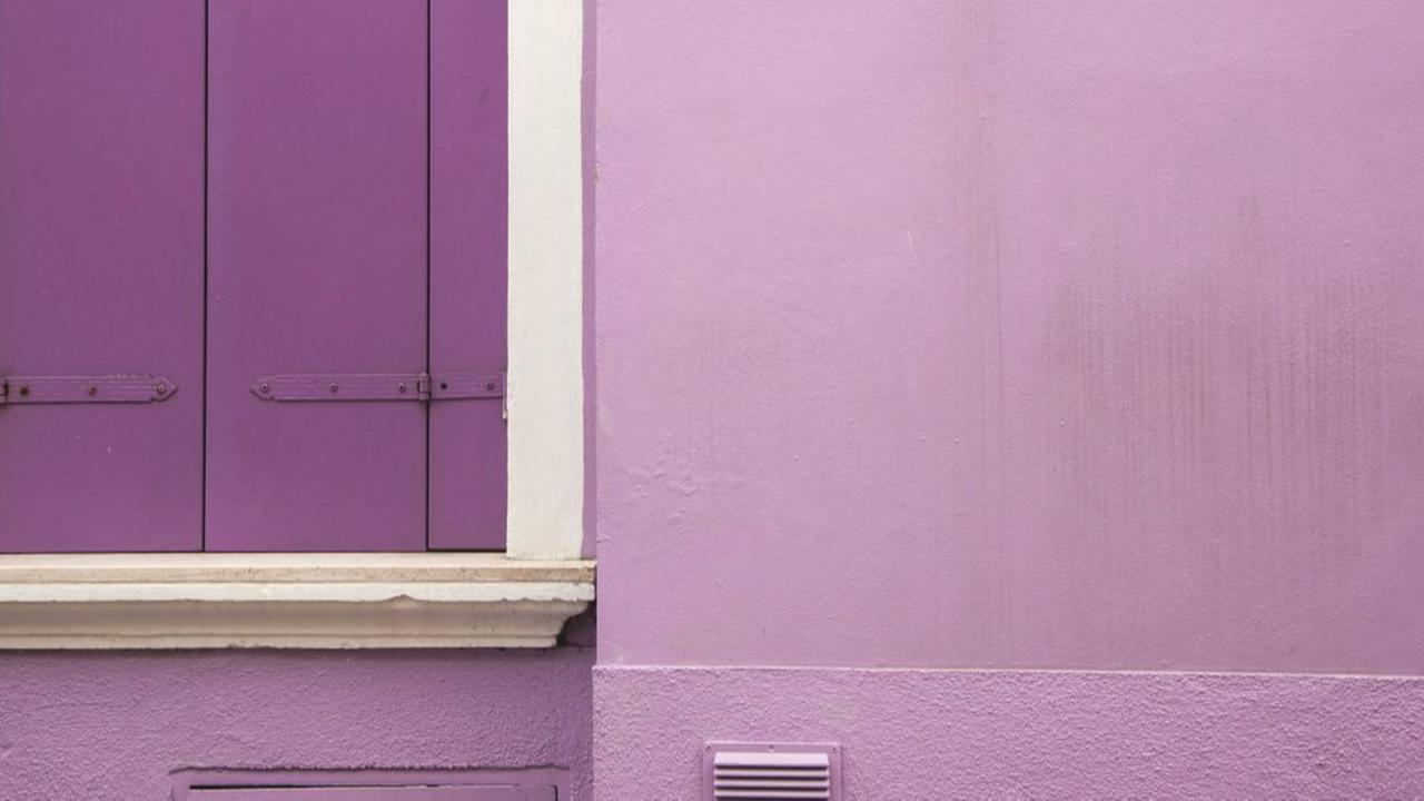 Warna Cat Rumah yang Paling Dibenci Serangga