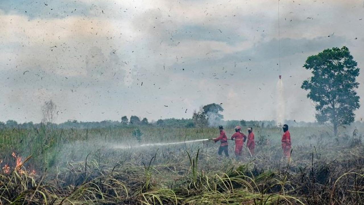 Petugas pemadam berusaha menjinakkan kebakaran hutan di Ogan Ilir, Sumatera Selatan, pada 27 Agustus 2024. Memasuki musim kemarau, kebakaran hutan dan lahan (karhutla) dilaporkan terjadi Ogan Ilir.&nbsp;Foto: Al Zulkifli/AFP
