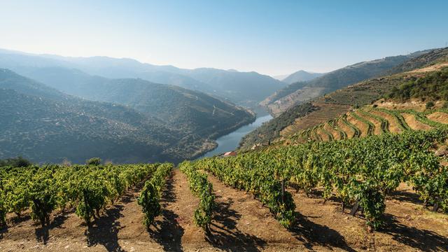 Douro Valley
