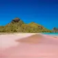 Pantai merah di Pulau Komodo