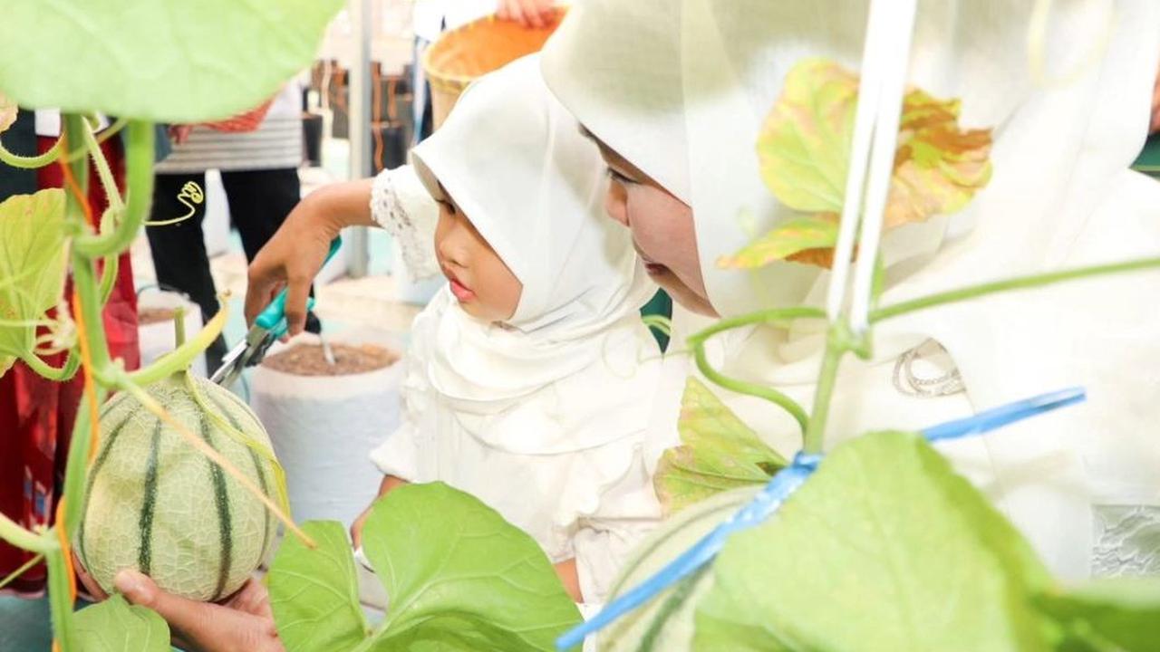 Green House MAS dirancang sebagai sarana belajar pertanian untuk masyarakat. Keberadaannya membuktikan bahwa mengembangkan sektor agrikultur modern di lahan terbatas bukan hal mustahil.