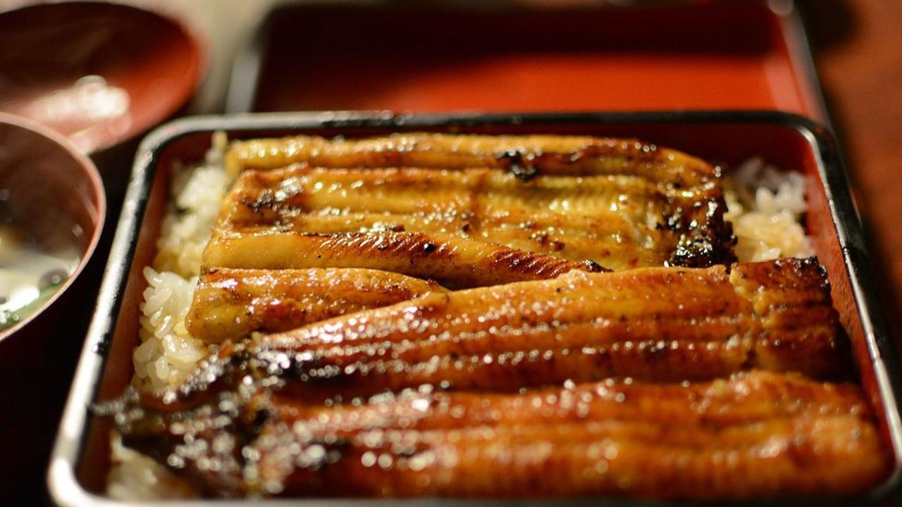10. Ikan Sidat Cocok untuk Diet Tinggi Protein dan Rendah Karbohidrat