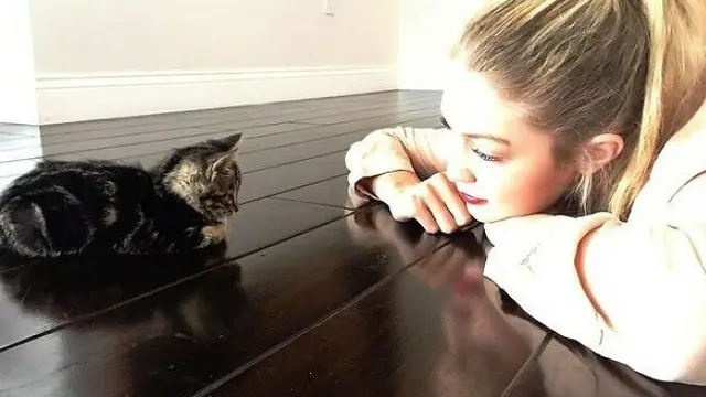 Gemas Banget, 8 Potret Selebritas Terkenal Bersama Kucing Kesayangan