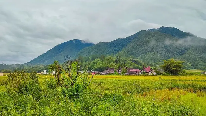 Desa di kaki Gunung Pangulubao