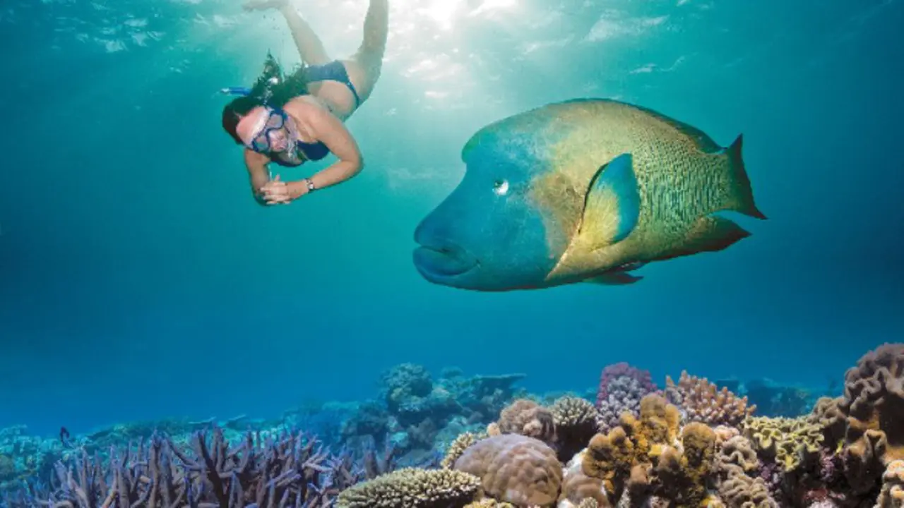 The Great Barrier Reef, Queensland