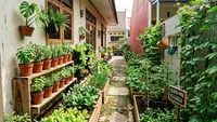 Cara Mengubah Lahan Sempit Samping Rumah Menjadi Kebun Mini, Tetap Rapi dan Produktif