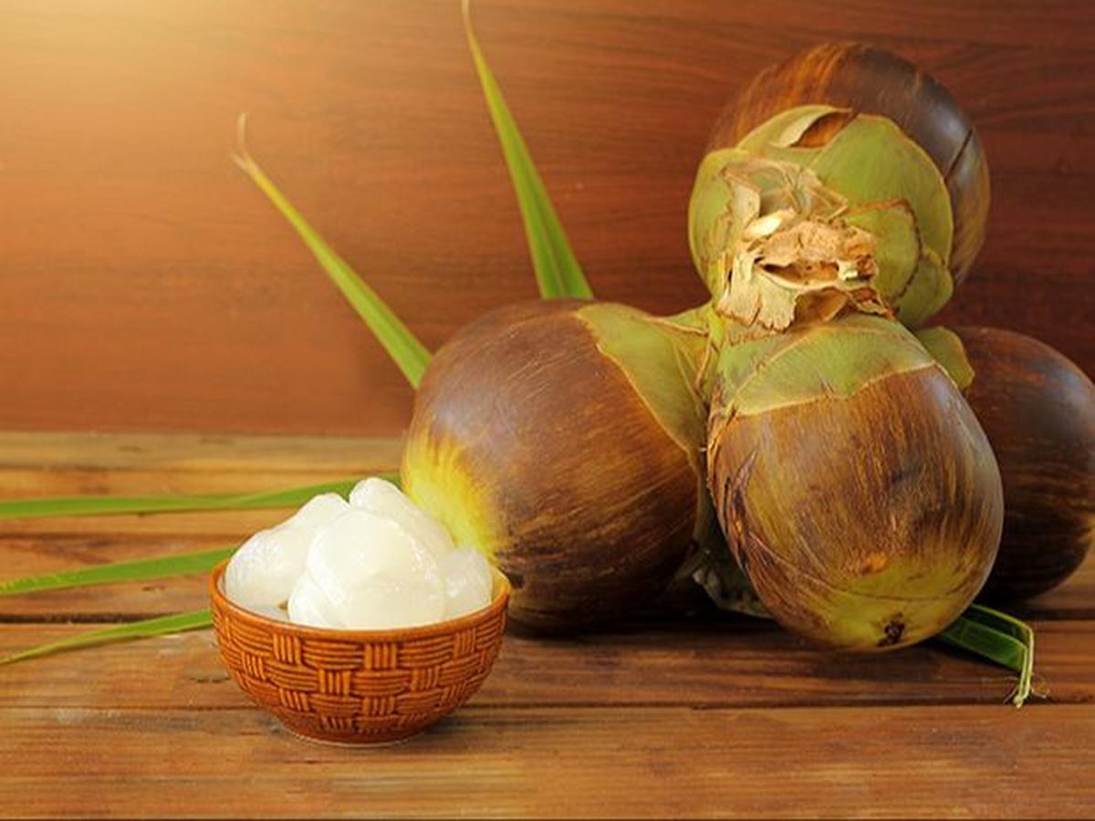 Kandungan Buah Lontar