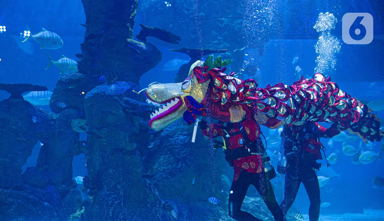 Pemain Liong beraksi menghibur pengunjung di Jakarta Aquarium & Safari (JAQS), Jakarta Barat, Jumat (12/2/2021). Pertunjukan Liong Show bawah air yang diikuti oleh para putri duyung tersebut untuk memeriahkan Hari Raya Imlek 2572 atau Tahun Baru China. (Liputan6.com/Faizal Fanani)