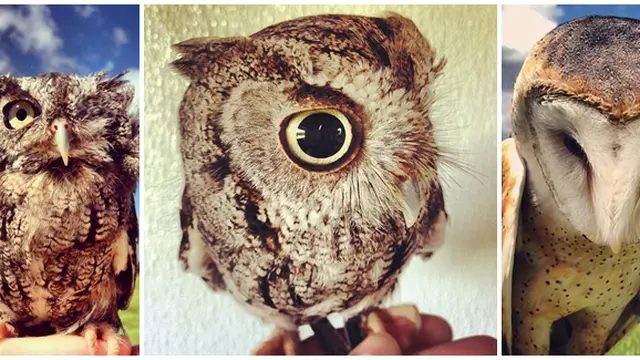 (c) mashable, instagram