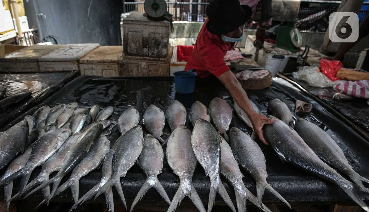 Pedagang marpikan ikan bandeng ke dalam kotak es di Pasar Petak Sembilan, Glodok, Jakarta, Senin (31/1/2022). Ikan bandeng banyak dibeli jelang Imlek sebagai hidangan saat perayaan Tahun Baru masyarakat Tionghoa itu. (Liputan6.com/Faizal Fanani)