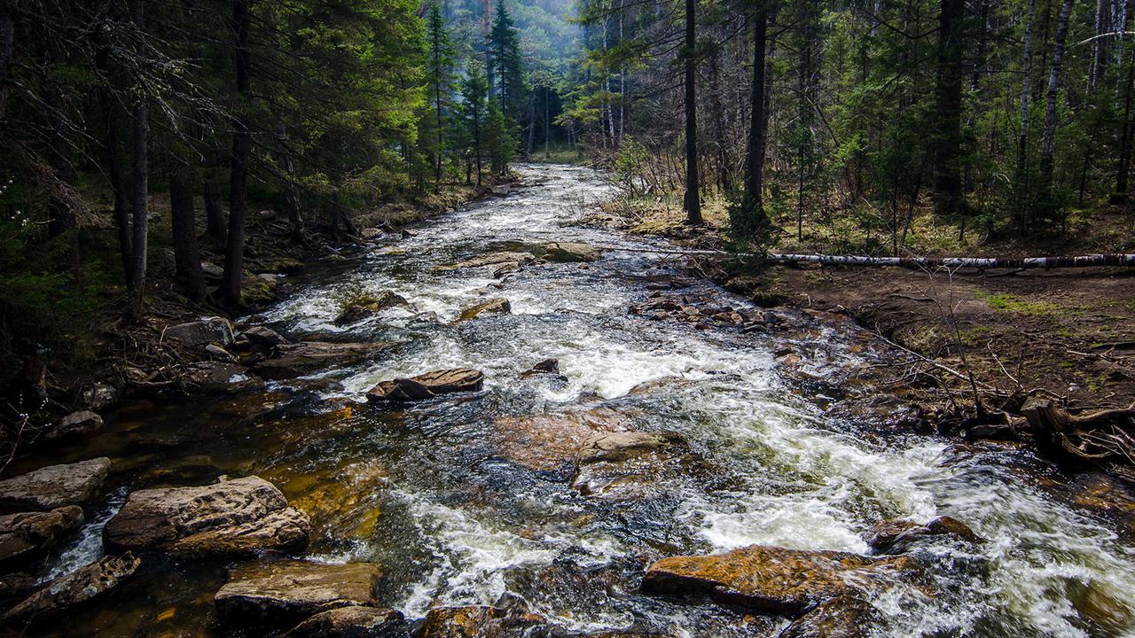 Ilustrasi air, sungai