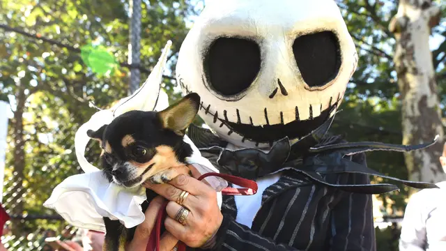 Gaya Unik Sejumlah Anjing Saat Ikuti Parade Halloween di New York