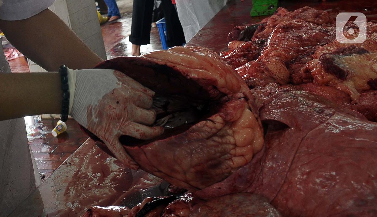 Pemotongan hewah kurban di Masjid Istiqlal diawali dengan sapi Presiden Joko Widodo atau Jokowi dan Wakil Presiden Ma'ruf Amin. (merdeka.com/Imam Buhori)