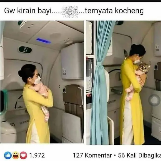 6 Kelakuan Emak-Emak Pelihara Kucing Bak Anak Sendiri Ini Kocak