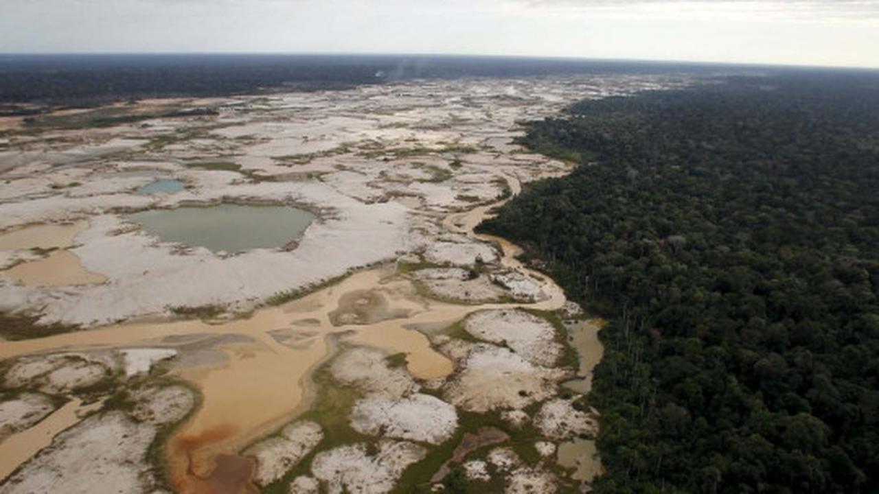Begini kondisi hancur Hutan Amazon yang digerogoti tambang liar