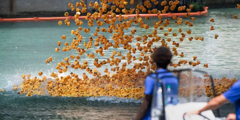 Ribuan Bebek Plastik di Sungai Chicago