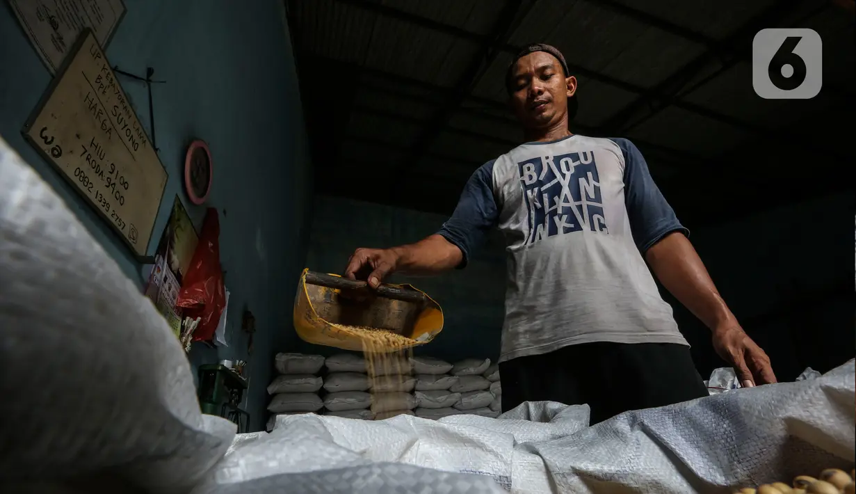 Pekerja memilah kedelai di gudang penyimpanan di Kawasan Kebayoran Lama, Jakarta, Kamis (14/1/2021). Kemendag memperkirakan harga kedelai global masih bertahan di level tinggi sampai Mei 2021 akibat ketatnya pasokan dari negara produsen dan naiknya permintaan. (Liputan6.com/Johan Tallo)