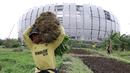 Ada pemandangan menarik dibalik kemegahan Jakarta International Stadium (JIS) yang terletak di kawasan Papanggo, Jakarta Utara. Sejumlah warga memanfaatkan lahan kosong untuk bertani. (Bola.com/M iqbal Ichsan)