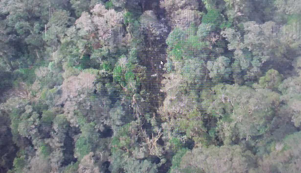 Foto yang direkam oleh Basarnas pada Senin (17/8/2015) memperlihatkan jejak kecelakaan pesawat Trigana Air di distrik Oksibil, Papua. Pesawat yang membawa 54 penumpang tersebut hil‎ang kontak pada Minggu (16/8) sore. (Reuters/Basarnas) 