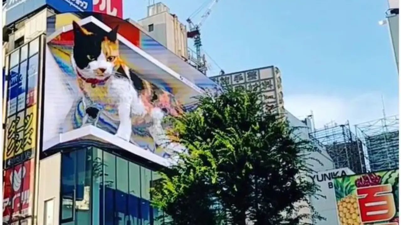 Ada Kucing 3D di Shinjuku Jepang, Menyapa Orang Tiap 15 Menit