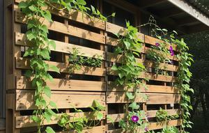 Konsep Kebun Vertikal Pakai Tanaman Rambat di Dinding Rumah Kecil (AI)