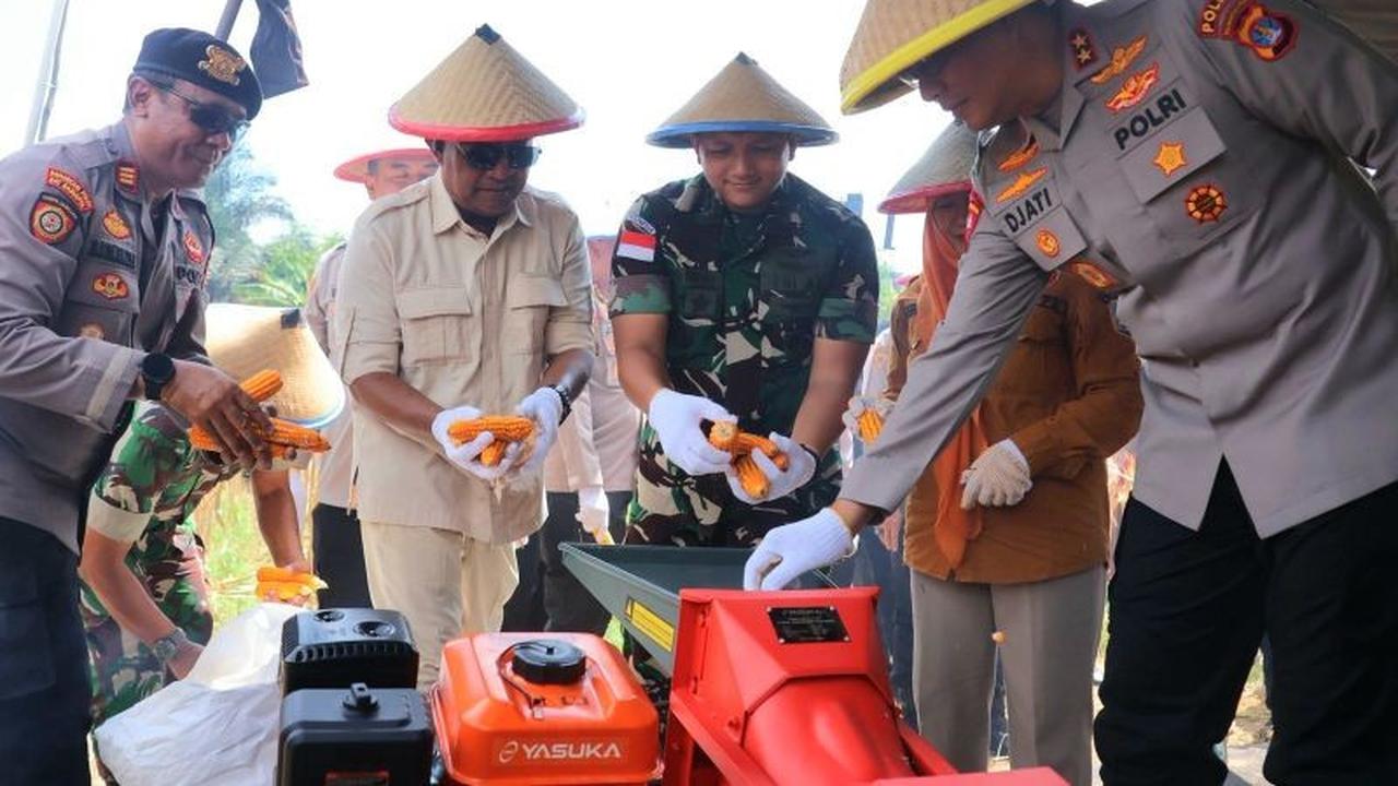 Polda Kaltara Perkuat Ketahanan Pangan, Salurkan Mesin Pipil Jagung untuk Petani di Panen Raya