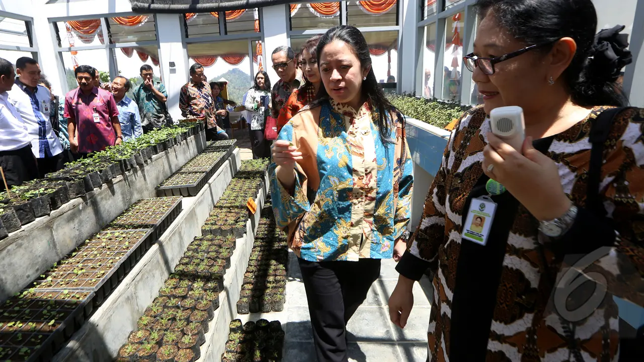 Puan Maharani Kunjungi Kebun Etalase Tanaman Obat