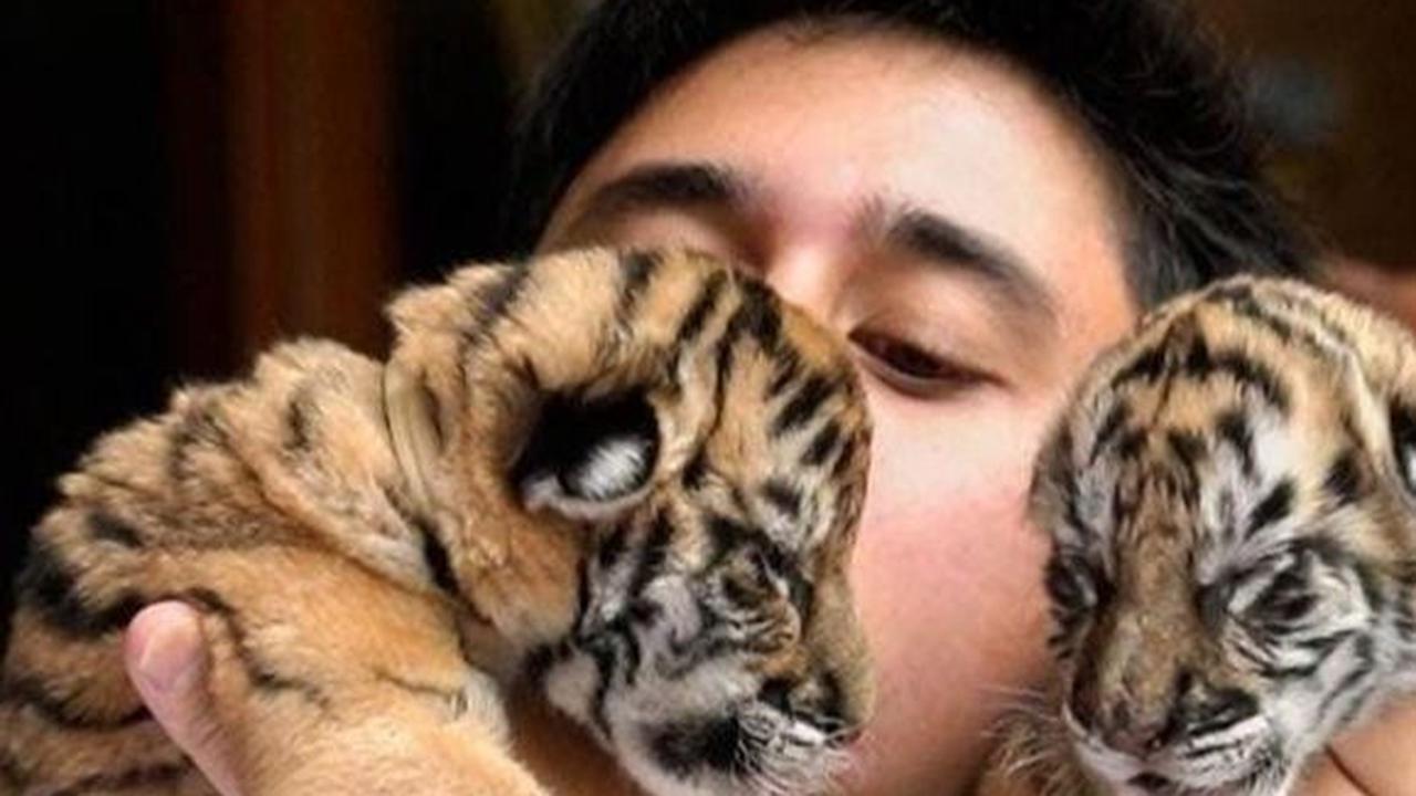 Namun takdir berkata lain, Cenora meninggal. Alshad tak akan tinggal diam, ia akan mencari tahu penyebab kematian Cenora.