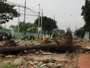 Sisa batang pohon masih terlihat jalur pedestrian di Jalan Gerbang Pemuda Senayan, Jakarta, Selasa (12/7/2016). Pasca pengosongan pertengahan Mei lalu, hingga kini jalur pejalan kaki di kawasan ini masih berantakan. (Liputan6.com/Helmi Fithriansyah)