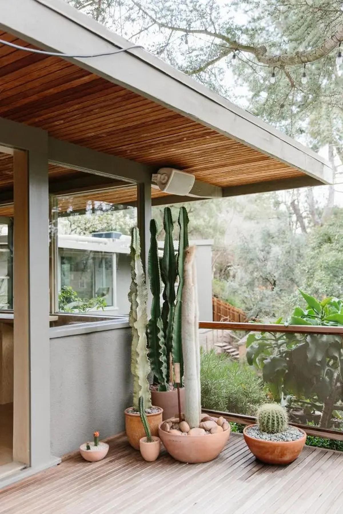 Tak Cuma Teras, Intip Pilihan Tanaman Heat-Tolerant untuk Balkon, Kontainer, hingga Taman Belakang