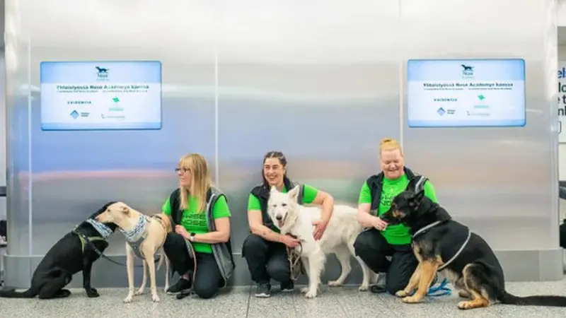 Bandara Ini Gunakan Jasa Anjing Untuk Deteksi Covid-19