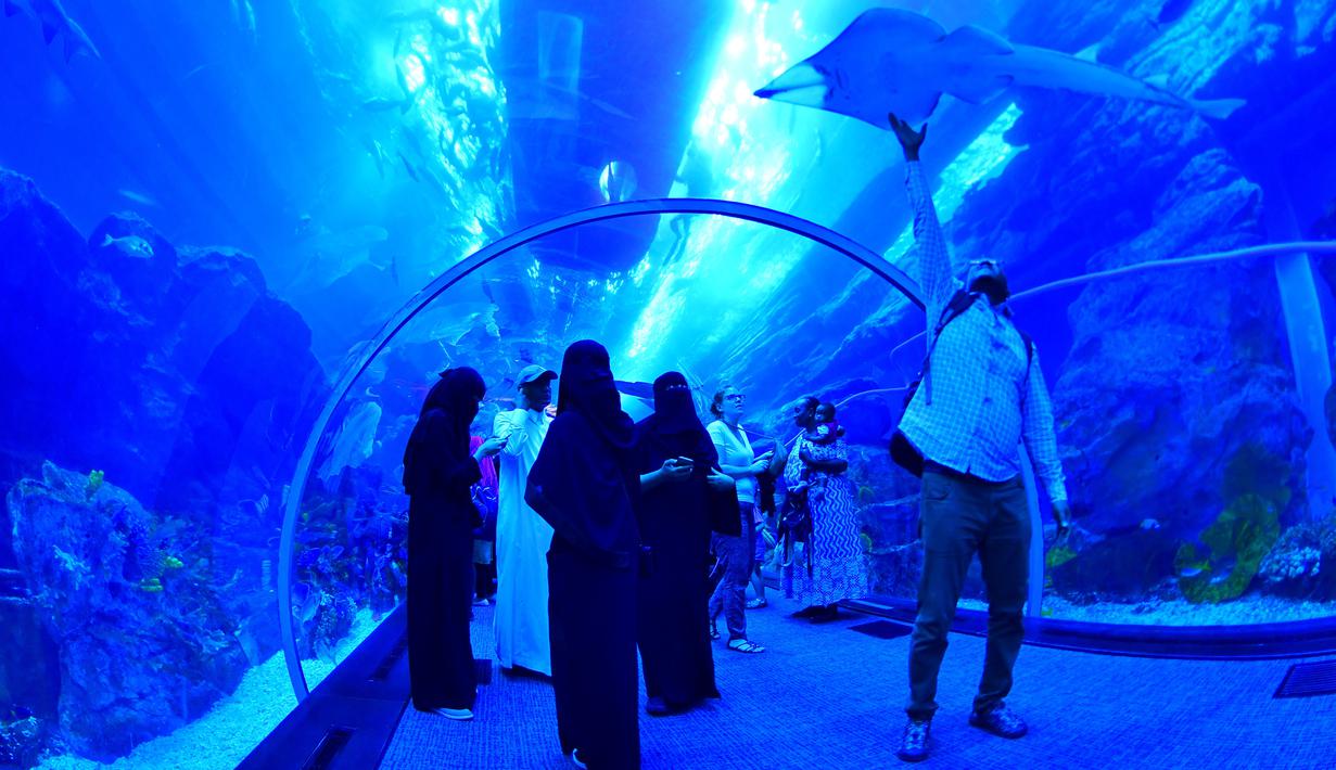 Wisatawan mengunjungi akuarium Dubai Mall di pusat kota Dubai, UEA pada Rabu (2/1). Di sana ada 33.000 biota laut dengan 85 spesies berbeda, termasuk 400 kombinasi dari hiu dan ikan pari. (GIUSEPPE CACACE / AFP)