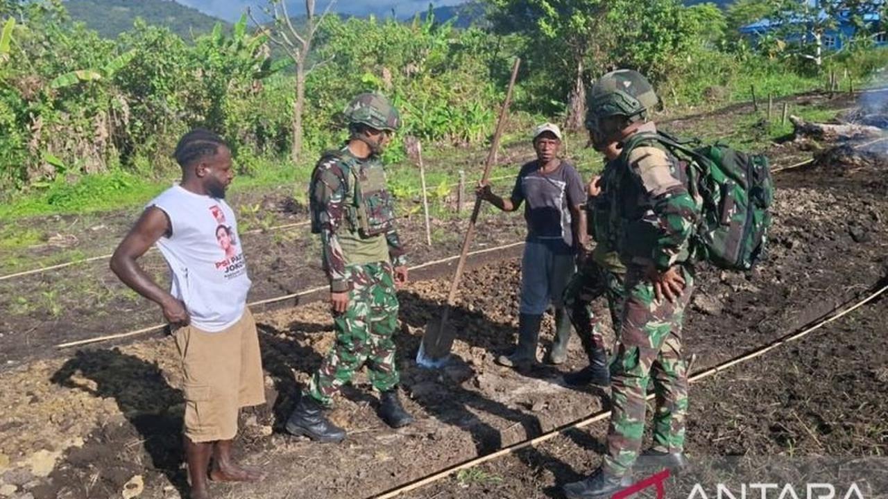 Prajurit Satgas Yonif 521 Siapkan Lahan Pertanian untuk Warga Kobagma, Dukung Ketahanan Pangan Papua Pegunungan