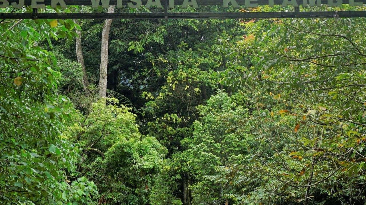 Mengunjungi Wisata Alam Ketambe di Aceh Tenggara, Ada Banyak Satwa Dilindungi hingga Sensasi Arung Jeram
